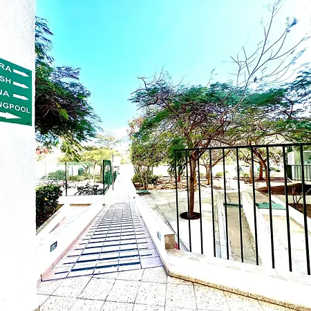 1 Bedroom Apart In Las Americas! Playa de las Americas (Tenerife)